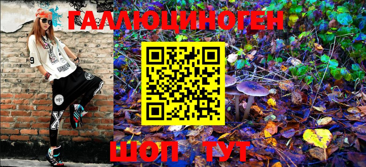 Галлюциногенные грибы MAGIC MUSHROOMS  Вход с VPN  Донской 