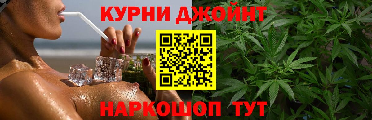 Канабис планчик Донской